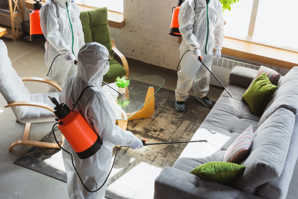 Mold Removal Services in Oaks, PA