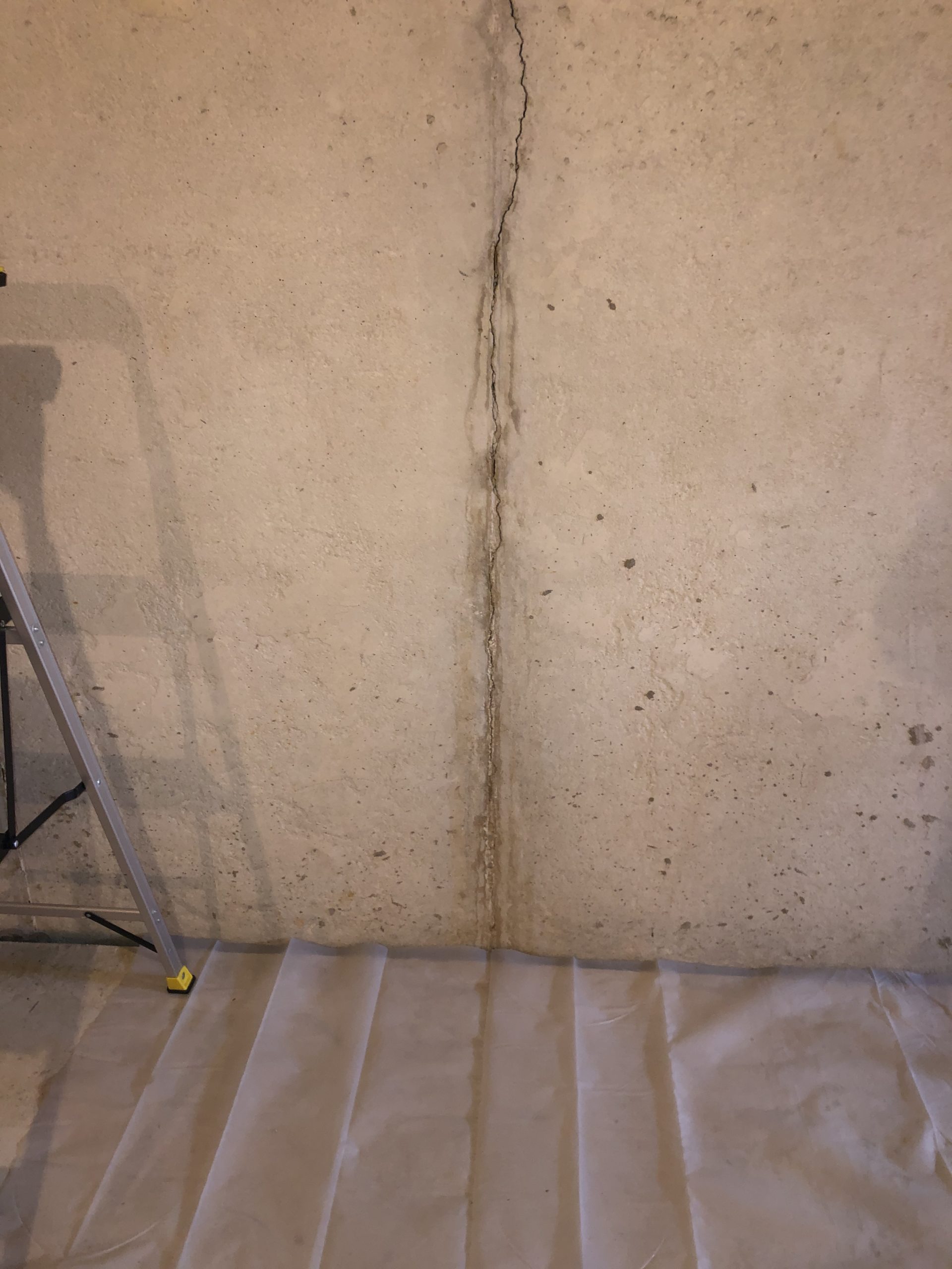 Why Professional Mold Remediation Services in Royersford, PA